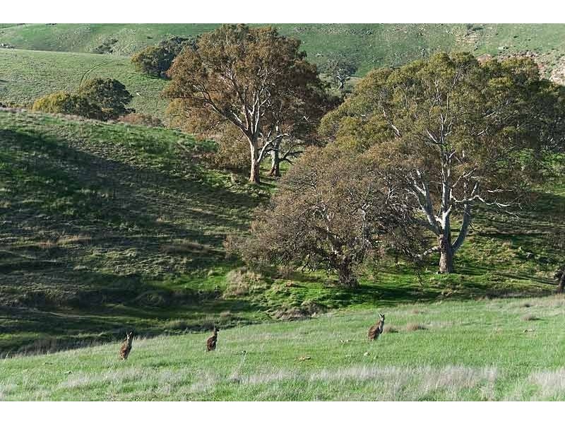 Lot 58 Hender Road, Mount Barker SA 5251