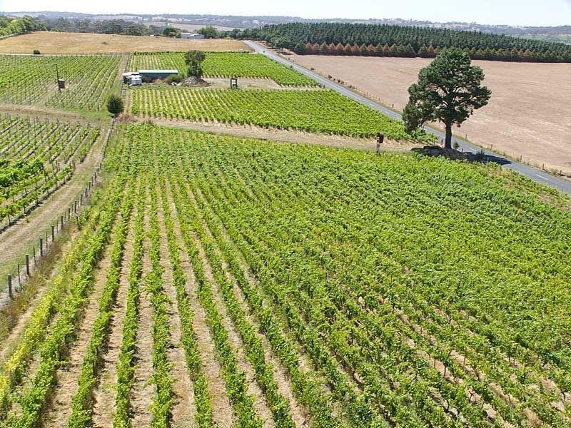Lot 88 Jungfer Road, Lobethal SA 5241