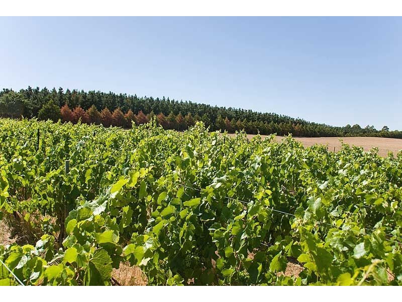 Lot 88 Jungfer Road, Lobethal SA 5241