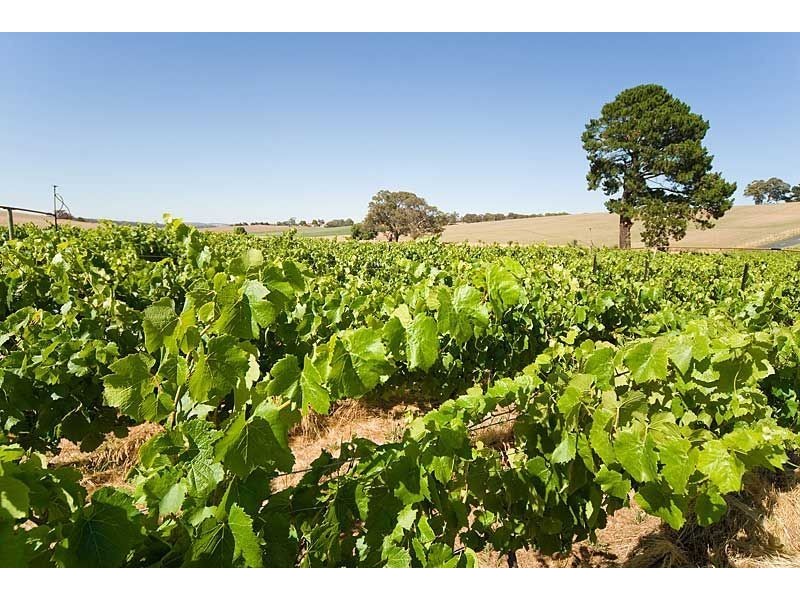 Lot 88 Jungfer Road, Lobethal SA 5241