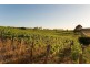 Lot 88 Jungfer Road, Lobethal SA 5241