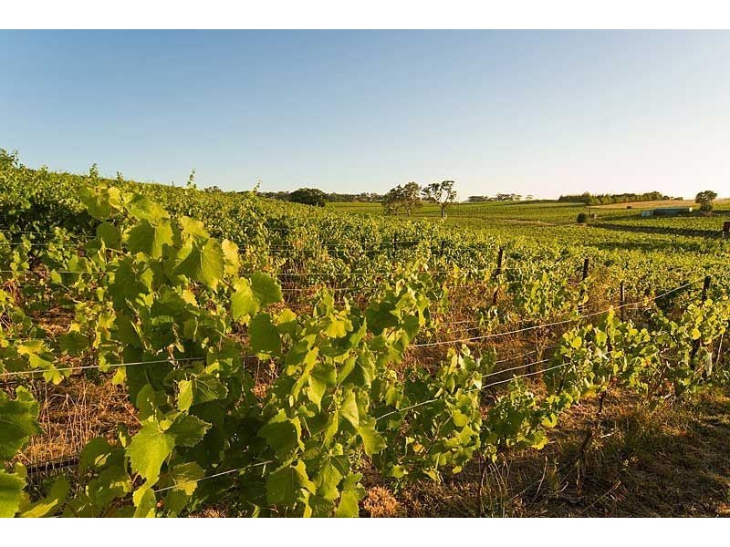 Lot 88 Jungfer Road, Lobethal SA 5241