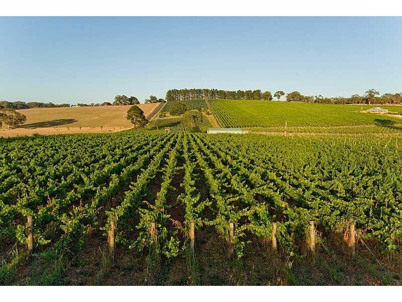 Lot 88 Jungfer Road, Lobethal SA 5241