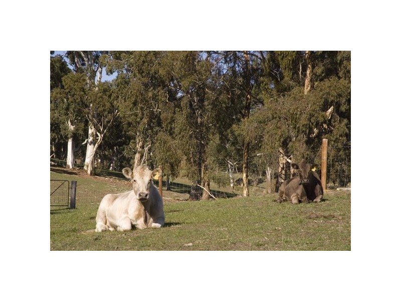 Lot 8 Onkaparinga Valley Road, Hahndorf SA 5245