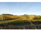 Bingfield Greenhills Road, Meadows SA 5201