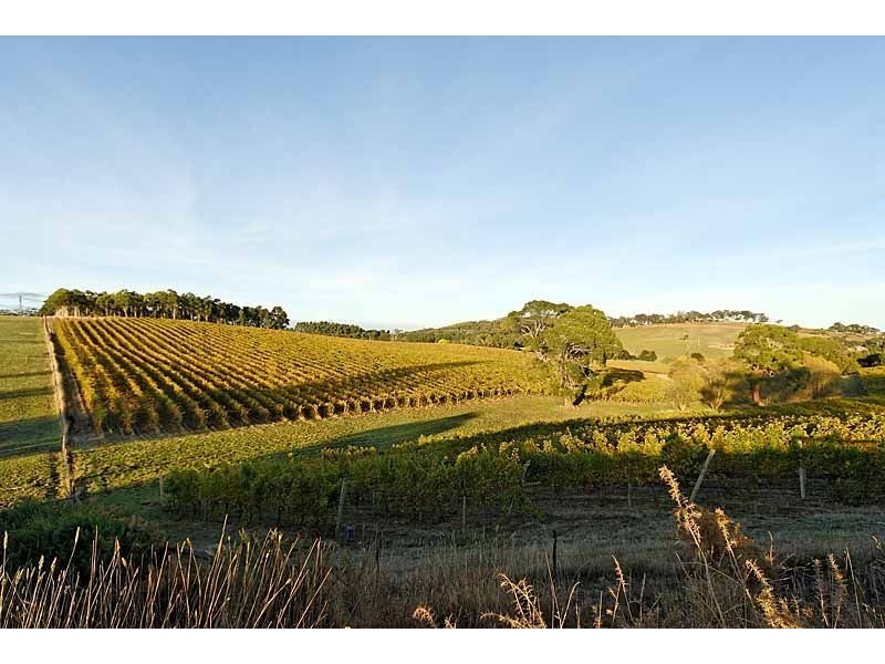 Bingfield Greenhills Road, Meadows SA 5201
