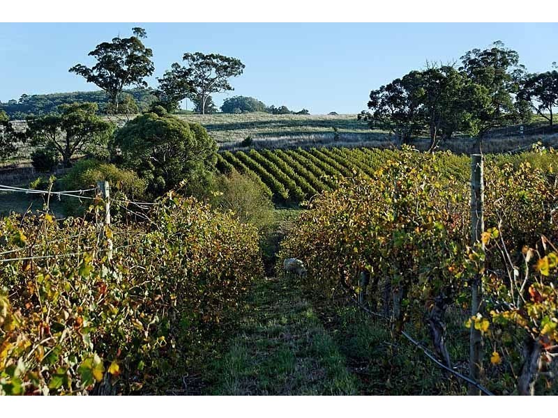 Bingfield Greenhills Road, Meadows SA 5201