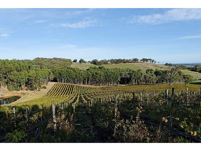 Bingfield Greenhills Road, Meadows SA 5201