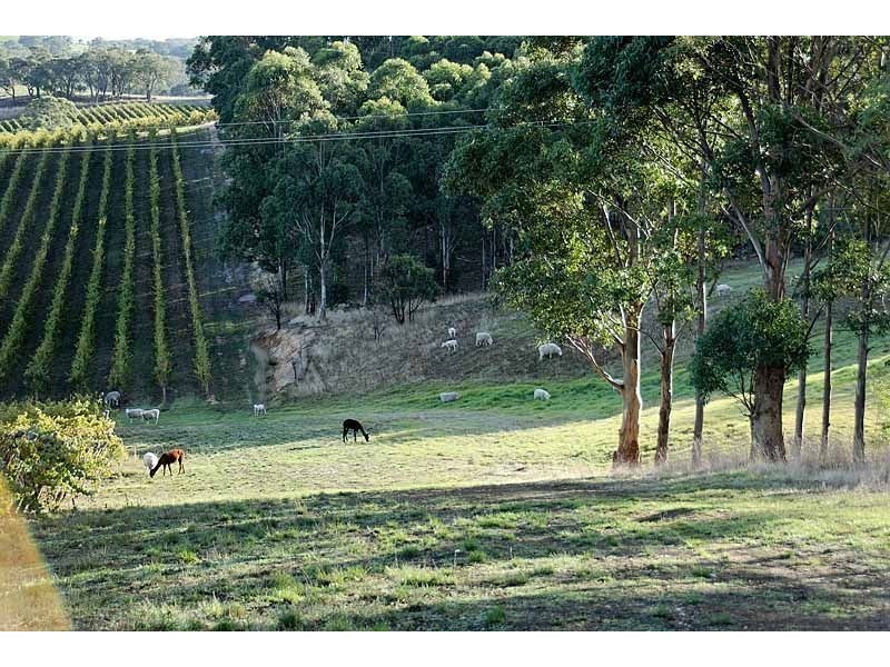 Bingfield Greenhills Road, Meadows SA 5201