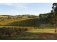 Bingfield Greenhills Road, Meadows SA 5201