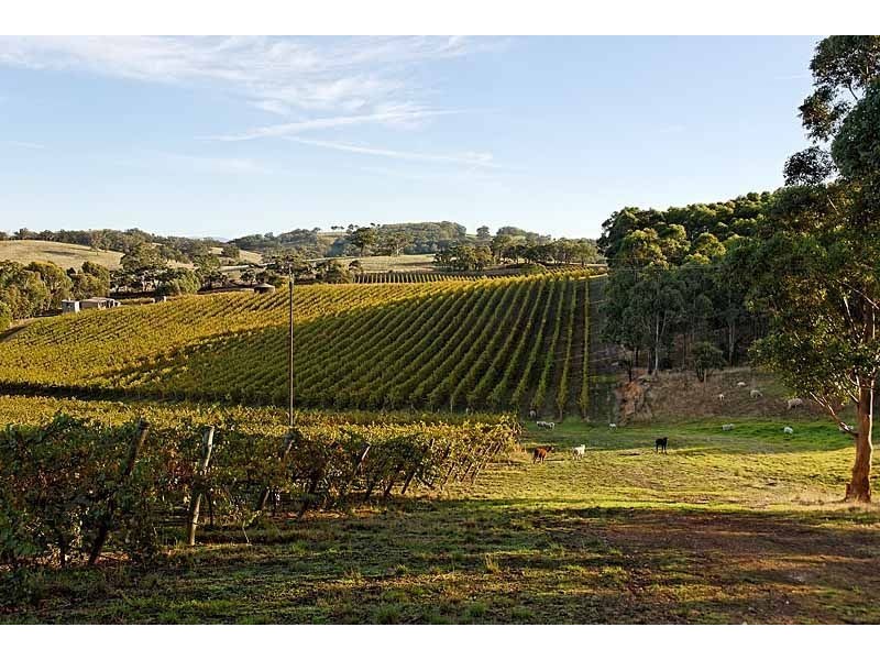 Bingfield Greenhills Road, Meadows SA 5201