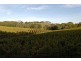 Bingfield Greenhills Road, Meadows SA 5201