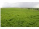 Lot 22&23 Princes Highway, Callington SA 5254