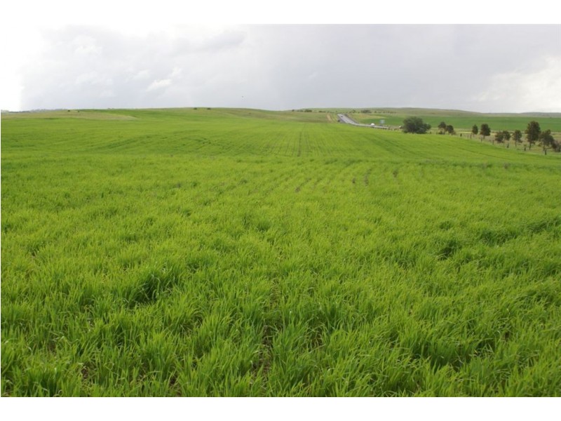 Lot 22&23 Princes Highway, Callington SA 5254