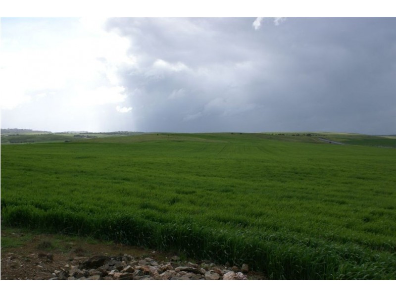 Lot 22&23 Princes Highway, Callington SA 5254