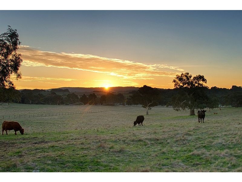 Lot 31 River View Road, Woodside SA 5244