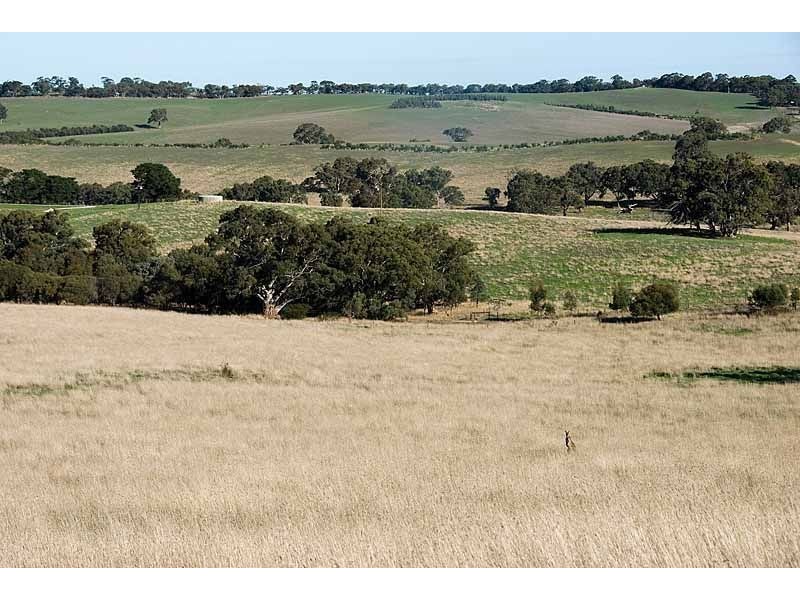 Lot 1 Wellington Road, Wistow SA 5251