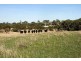 . Bunnetts Road, Wistow SA 5251