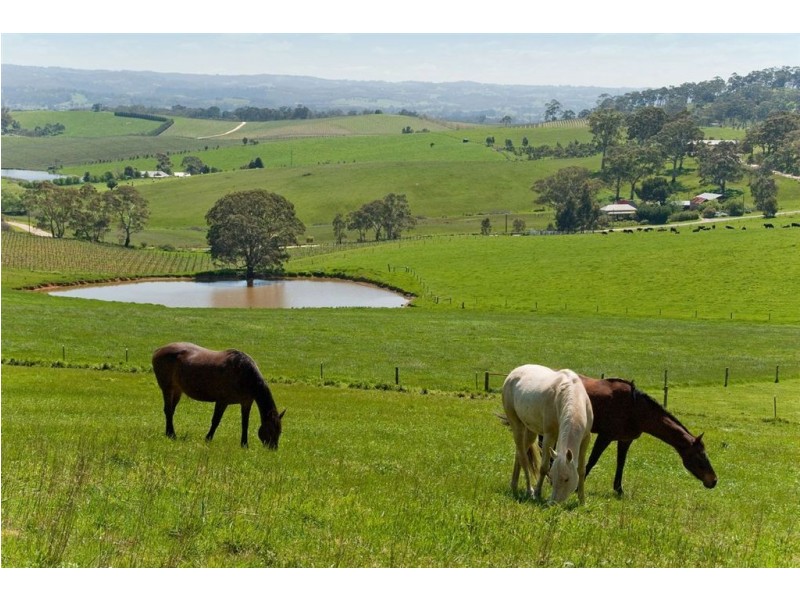 Lot 60 Leonard Road, Hahndorf SA 5245