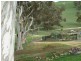 Lot 100 Proctor Road, Kanmantoo SA 5252