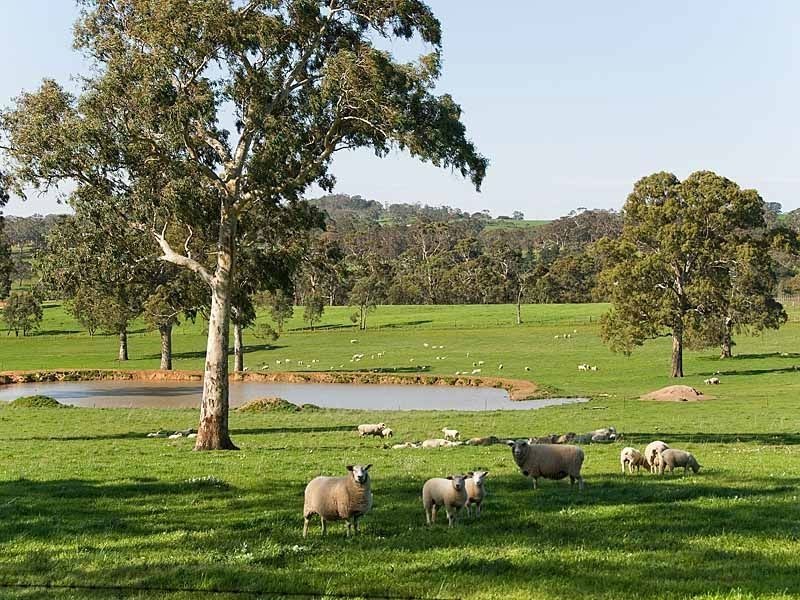 Sec 5225 Whitegum Road, Oakbank SA 5243