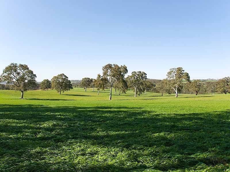 Sec 5225 Whitegum Road, Oakbank SA 5243