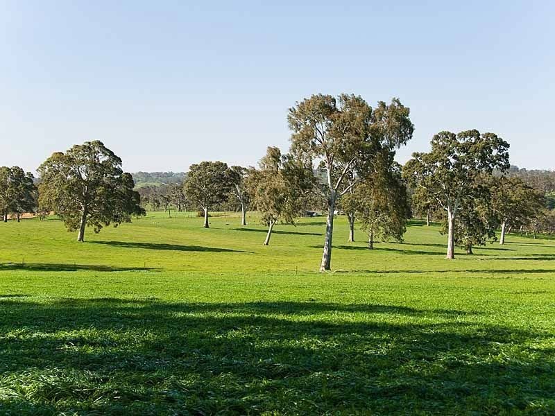 Sec 5225 Whitegum Road, Oakbank SA 5243