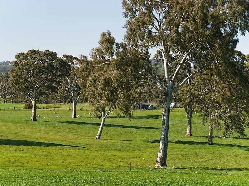 Sec 5225 Whitegum Road, Oakbank SA 5243