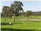 Sec 5225 Whitegum Road, Oakbank SA 5243