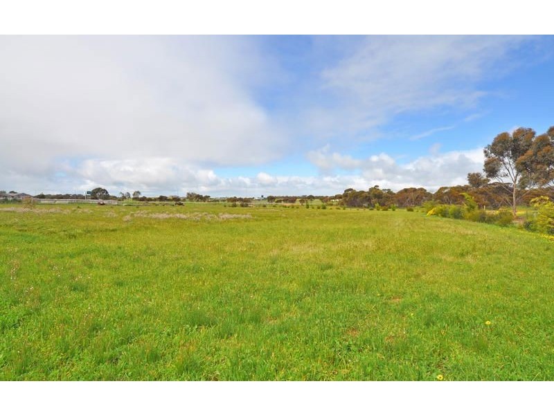 97 Old Swanport Road, Murray Bridge SA 5253