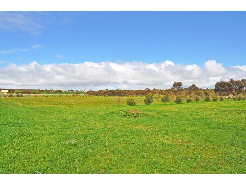97 Old Swanport Road, Murray Bridge SA 5253