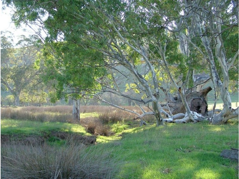 Lot 2 Rams Road, Rockleigh SA 5254