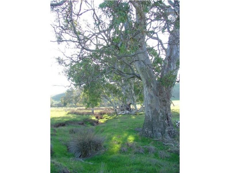 Lot 2 Rams Road, Rockleigh SA 5254