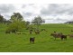 Lot 91 Quarry Road, Macclesfield SA 5153