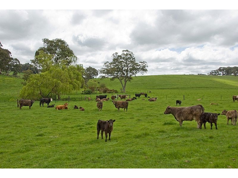 Lot 91 Quarry Road, Macclesfield SA 5153