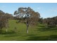 Lot 91 Quarry Road, Macclesfield SA 5153