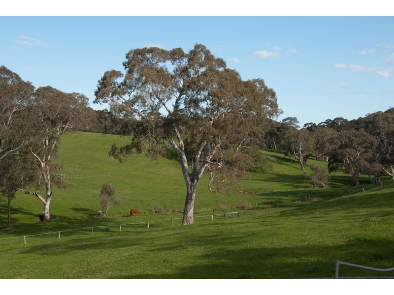 Lot 91 Quarry Road, Macclesfield SA 5153