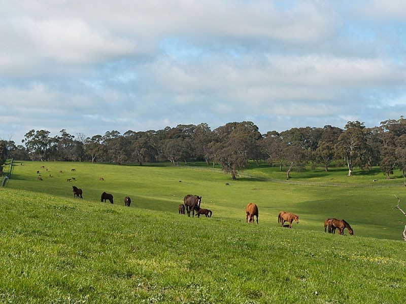 Oakside Darby Road, Hahndorf SA 5245
