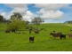Lot 91 Quarry Road, Macclesfield SA 5153