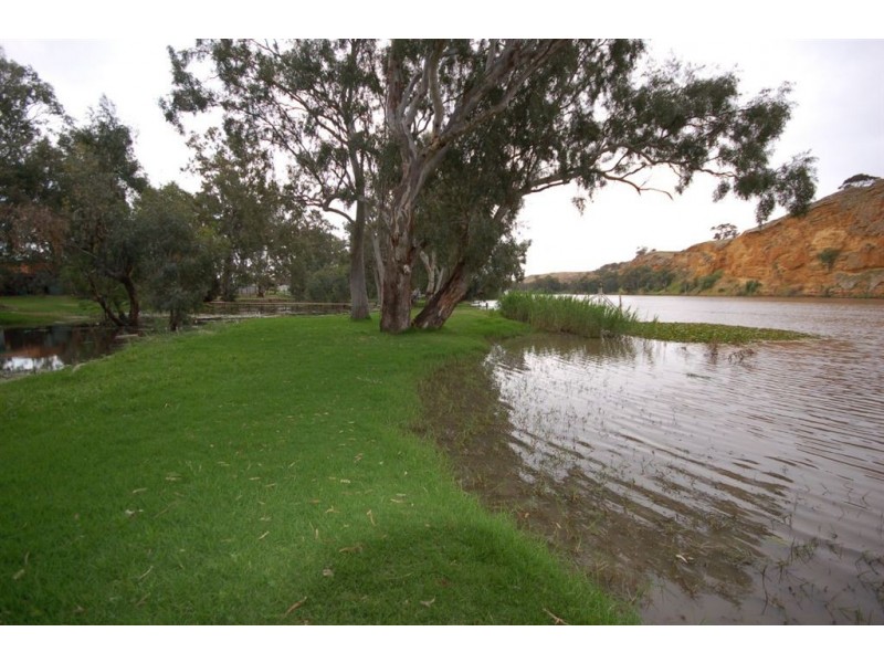 Shack 42 Mannum-Purnong Road, Mannum SA 5238