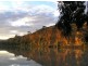 Shack 42 Mannum-Purnong Road, Mannum SA 5238