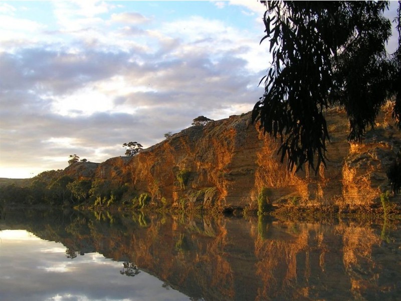Shack 42 Mannum-Purnong Road, Mannum SA 5238