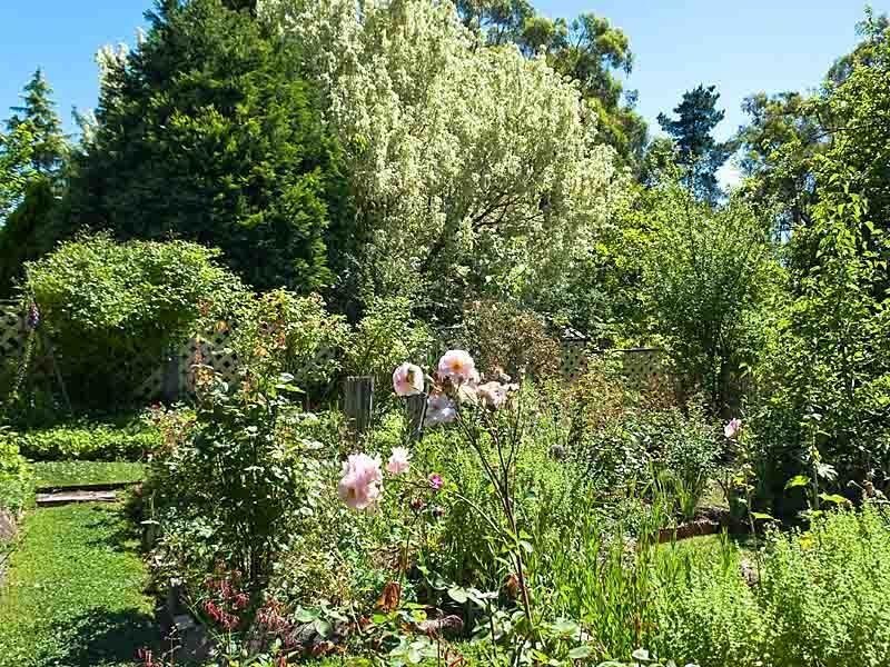 90 Leslie Road, Lenswood SA 5240