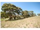 Lot 73 Clampett Court, Blakiston SA 5250