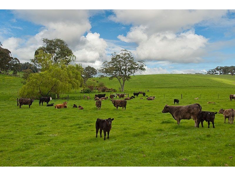 Lot 91 Quarry Road, Macclesfield SA 5153