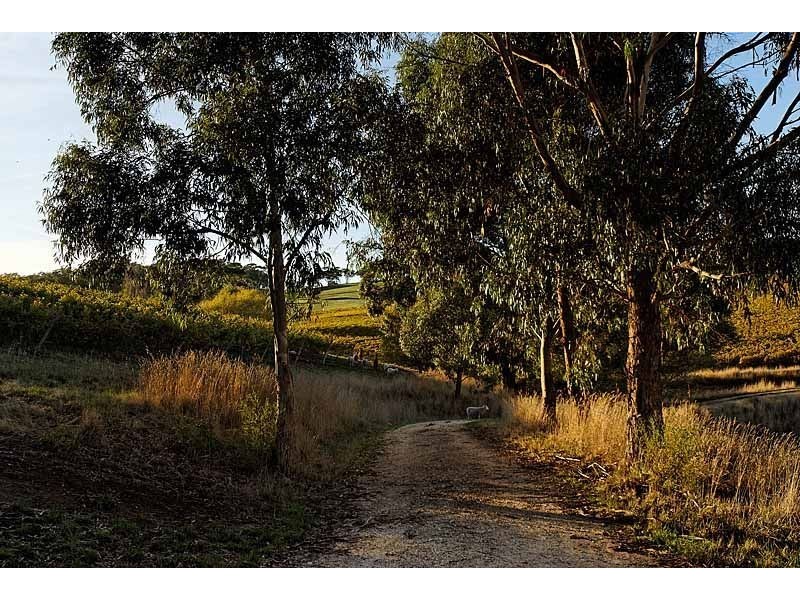 Bingfield Greenhills Road, Meadows SA 5201
