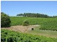 Bingfield Greenhills Road, Meadows SA 5201