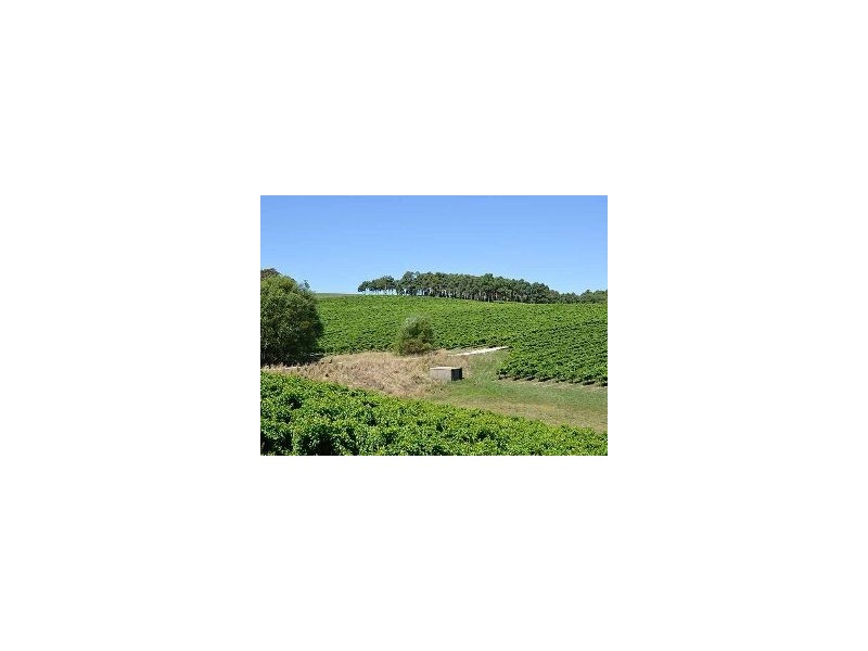 Bingfield Greenhills Road, Meadows SA 5201