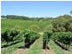 Bingfield Greenhills Road, Meadows SA 5201