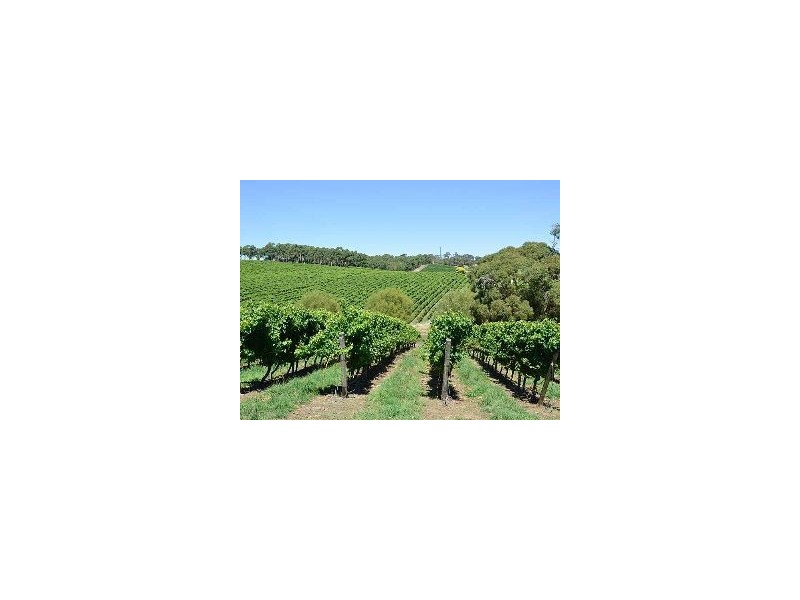 Bingfield Greenhills Road, Meadows SA 5201